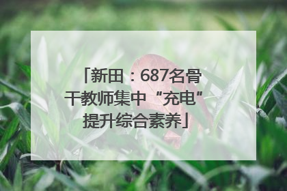 新田：687名骨干教师集中“充电” 提升综合素养