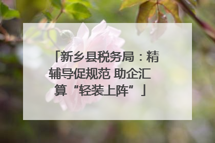新乡县税务局：精辅导促规范 助企汇算“轻装上阵”