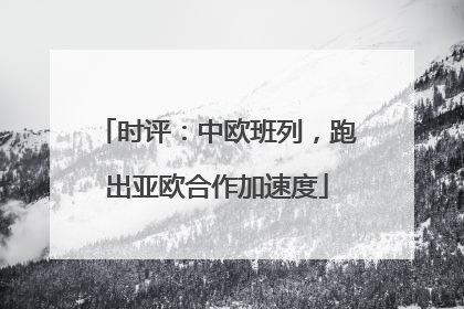时评：中欧班列，跑出亚欧合作加速度