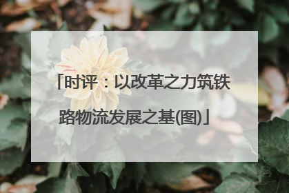 时评：以改革之力筑铁路物流发展之基(图)