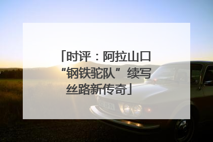 时评：阿拉山口“钢铁驼队”续写丝路新传奇