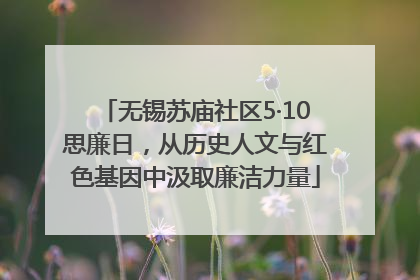 无锡苏庙社区5·10思廉日，从历史人文与红色基因中汲取廉洁力量