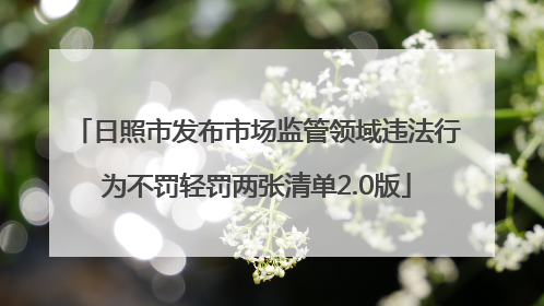 日照市发布市场监管领域违法行为不罚轻罚两张清单2.0版