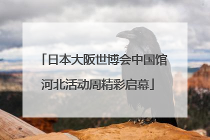日本大阪世博会中国馆河北活动周精彩启幕