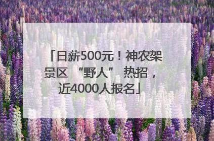 日薪500元！神农架景区 “野人” 热招，近4000人报名