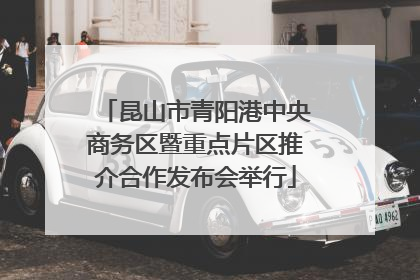 昆山市青阳港中央商务区暨重点片区推介合作发布会举行