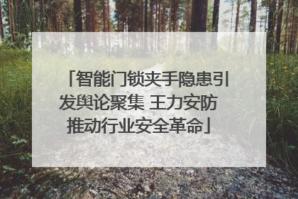 智能门锁夹手隐患引发舆论聚集 王力安防推动行业安全革命