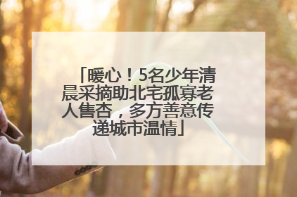 暖心！5名少年清晨采摘助北宅孤寡老人售杏，多方善意传递城市温情