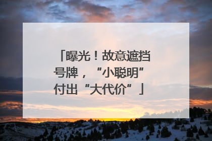 曝光！故意遮挡号牌，“小聪明”付出“大代价”