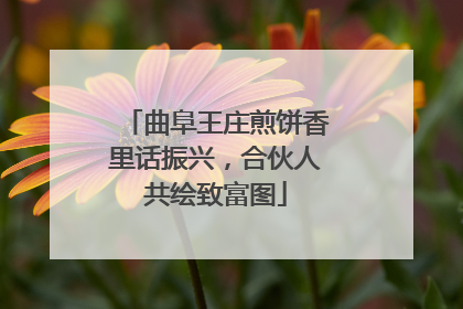 曲阜王庄煎饼香里话振兴，合伙人共绘致富图