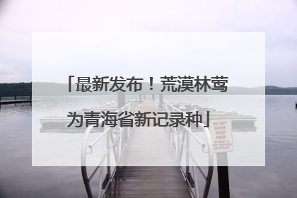 最新发布！荒漠林莺为青海省新记录种