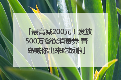 最高减200元！发放500万餐饮消费券 青岛喊你出来吃饭啦