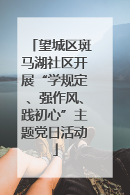 望城区斑马湖社区开展“学规定、强作风、践初心”主题党日活动