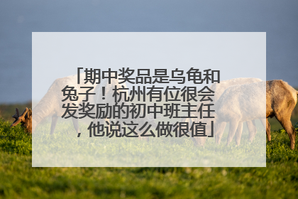 期中奖品是乌龟和兔子！杭州有位很会发奖励的初中班主任，他说这么做很值