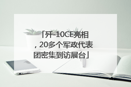歼-10CE亮相，20多个军政代表团密集到访展台