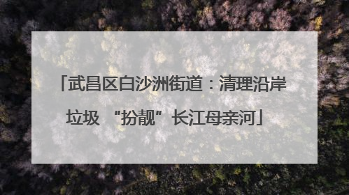 武昌区白沙洲街道：清理沿岸垃圾 “扮靓”长江母亲河