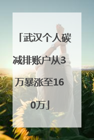武汉个人碳减排账户从3万暴涨至160万
