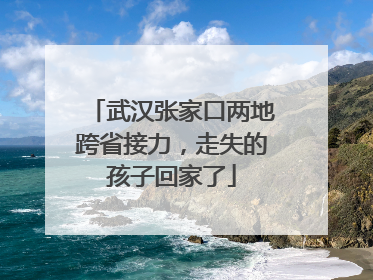 武汉张家口两地跨省接力，走失的孩子回家了