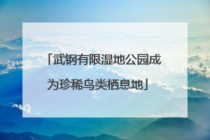 武钢有限湿地公园成为珍稀鸟类栖息地