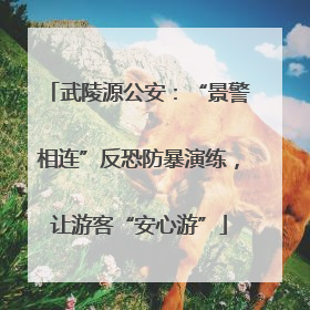 武陵源公安：“景警相连”反恐防暴演练，让游客“安心游”