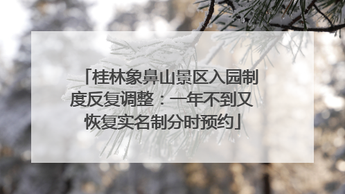 桂林象鼻山景区入园制度反复调整：一年不到又恢复实名制分时预约
