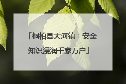 桐柏县大河镇：安全知识浸润千家万户