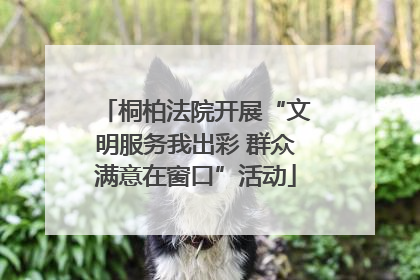 桐柏法院开展“文明服务我出彩 群众满意在窗口”活动