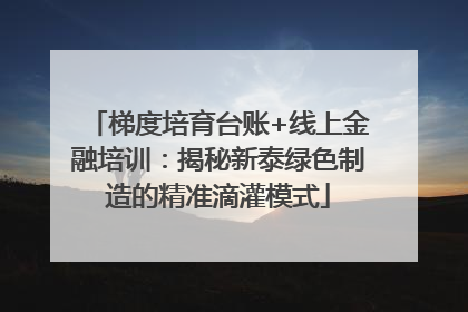 梯度培育台账+线上金融培训：揭秘新泰绿色制造的精准滴灌模式