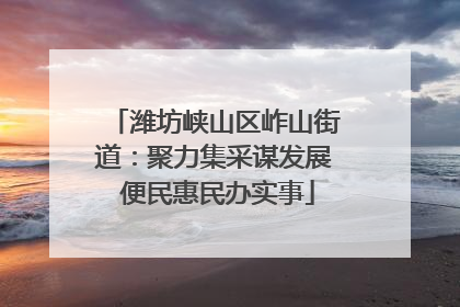 潍坊峡山区岞山街道：聚力集采谋发展 便民惠民办实事