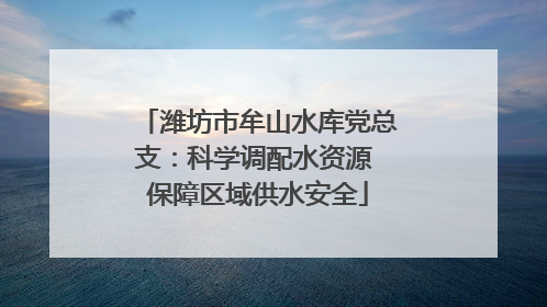 潍坊市牟山水库党总支：科学调配水资源 保障区域供水安全
