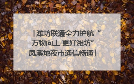 潍坊联通全力护航“万物向上·更好潍坊”凤溪地夜市通信畅通