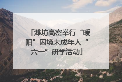 潍坊高密举行“暖阳”困境未成年人“六一”研学活动