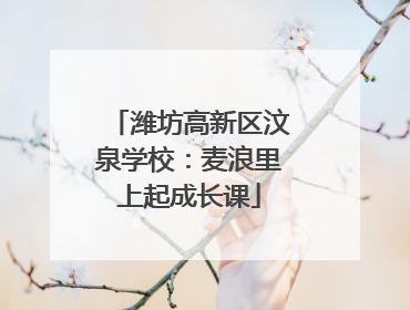 潍坊高新区汶泉学校：麦浪里上起成长课