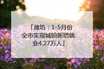 潍坊：1-5月份全市实现城镇新增就业4.27万人