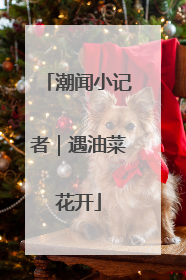 潮闻小记者｜遇油菜花开