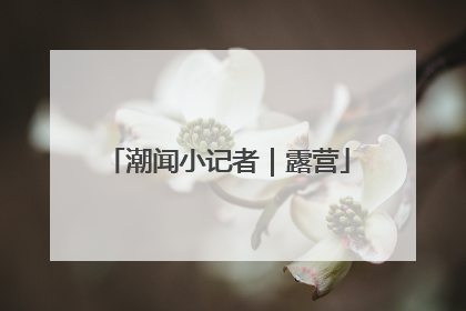 潮闻小记者｜露营