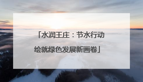 水润王庄：节水行动绘就绿色发展新画卷