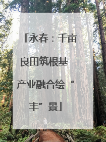 永春：千亩良田筑根基 产业融合绘“丰”景