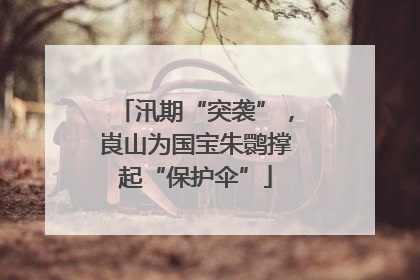 汛期“突袭”，崀山为国宝朱鹮撑起“保护伞”