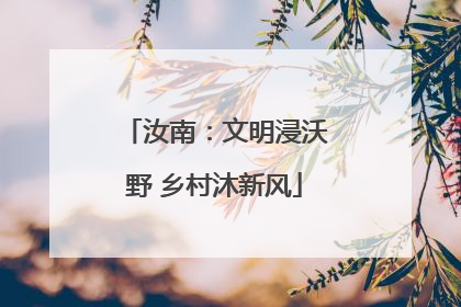 汝南：文明浸沃野 乡村沐新风