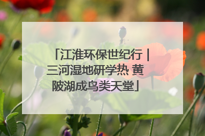 江淮环保世纪行｜三河湿地研学热 黄陂湖成鸟类天堂