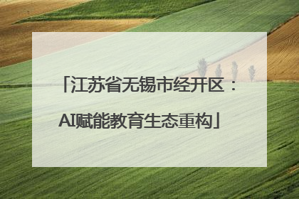 江苏省无锡市经开区：AI赋能教育生态重构