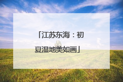 江苏东海：初夏湿地美如画