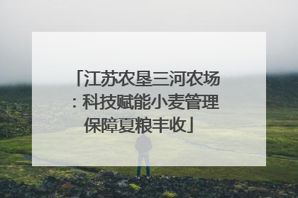 江苏农垦三河农场：科技赋能小麦管理保障夏粮丰收