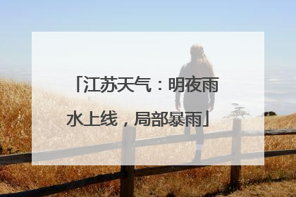 江苏天气：明夜雨水上线，局部暴雨