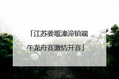 江苏姜堰溱潼镇端午龙舟赛激情开赛