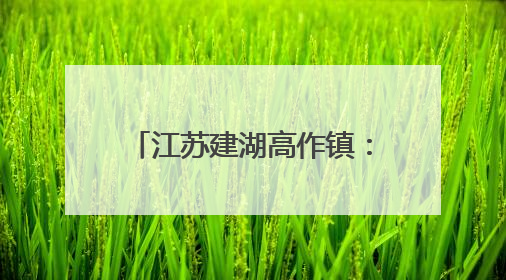 江苏建湖高作镇：“三夏”大忙 现代农业技术助力