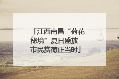 江西南昌“荷花秘境”夏日盛放 市民赏荷正当时