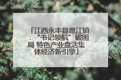 江西永丰县恩江镇：“书记领航”破困局 特色产业盘活集体经济新引擎