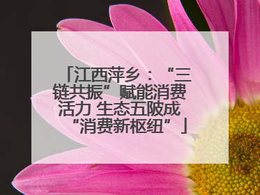 江西萍乡：“三链共振”赋能消费活力 生态五陂成“消费新枢纽”